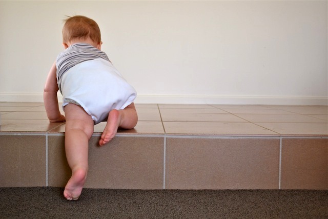 15 Months - Social/Physical