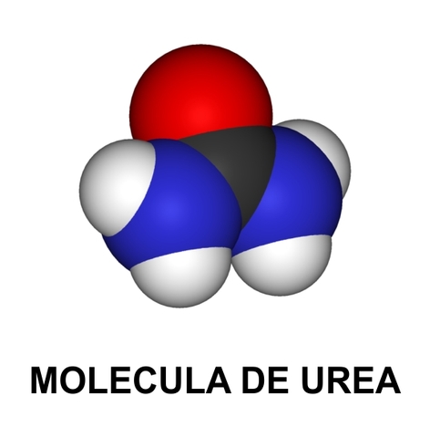 SINTESIS DE LA UREA