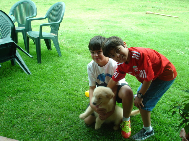 Nova cachorra-André Leal