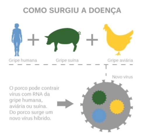 Gripe Suína-Fatos marcantes