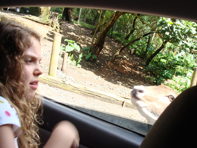 Visita!! - Ana Luisa