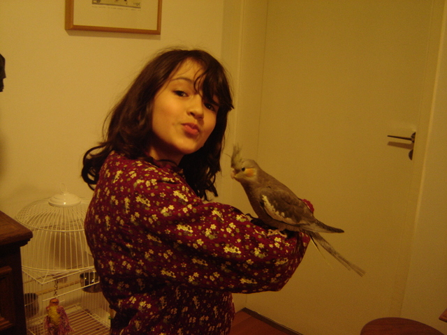 Marcela - Bichinho de estimação