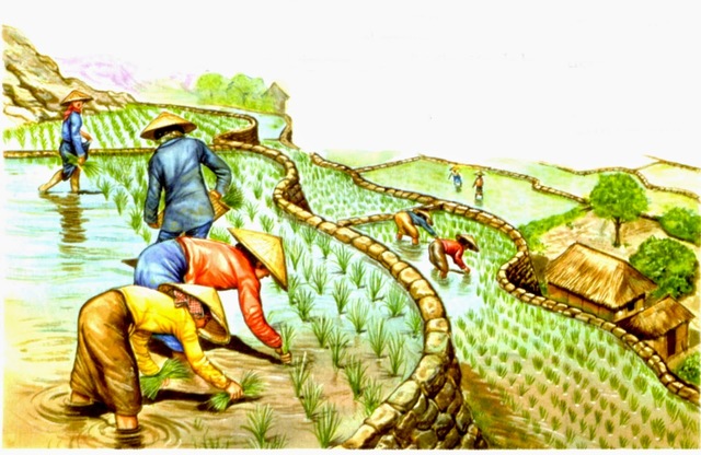 Organização da atividade agricola chinesa