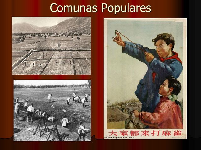 Extinção das colunas populares e das cooperativas agrícolas