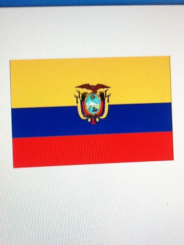 COPA LIBERTADORES 2008