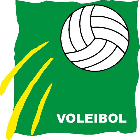 El voleibol