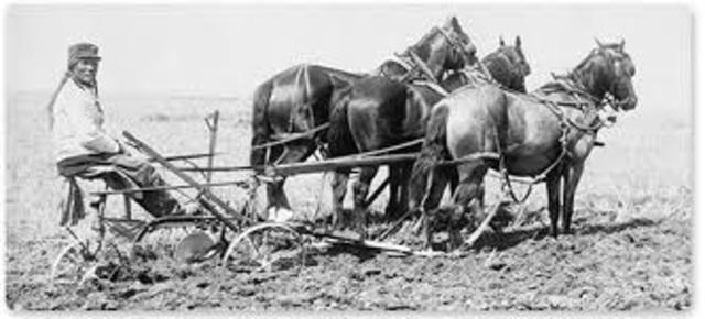 Agricultural Society III