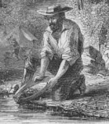 The California gold rush