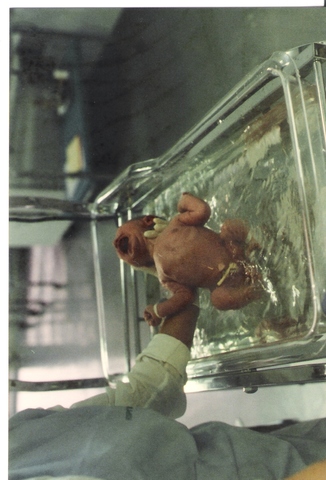 Fatos pessoais Murilo - Nascimento