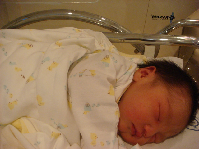 O nascimento do irmao da Isabella Chung