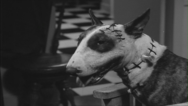 Frankenweenie