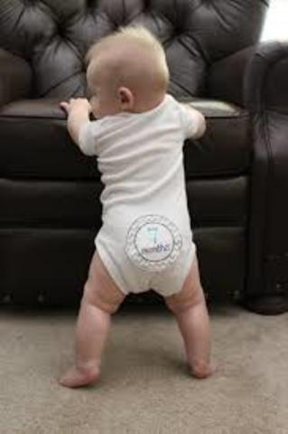 Pulling herself up (8 months)