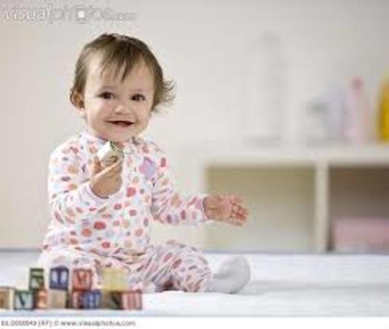 Object Permanance (12 months)