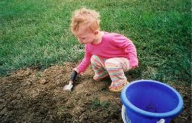 Goal Directed Behavior