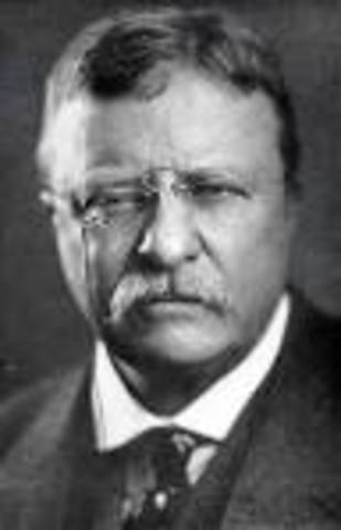 Teddy Roosevelt