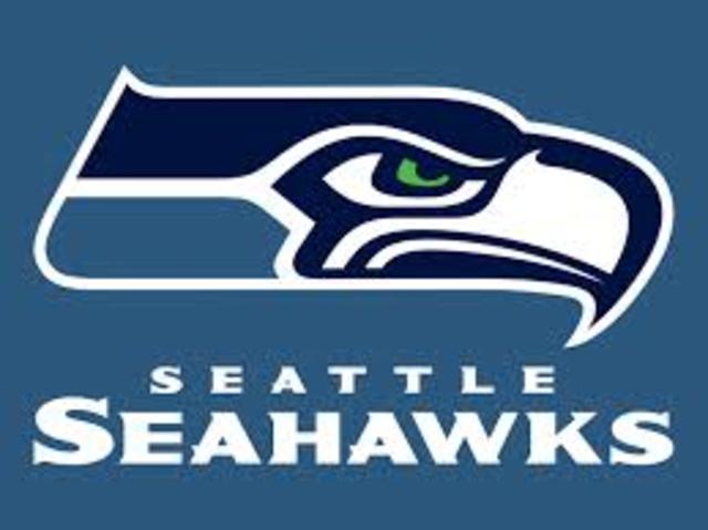 Seattle Seahawks foi campeão - Fernanda - esporte