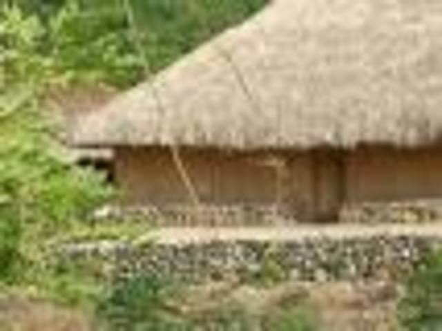 poblacion mundial expanciva