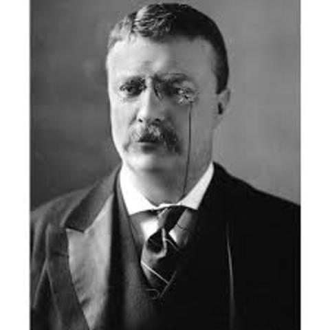 Teddy Roosevelt