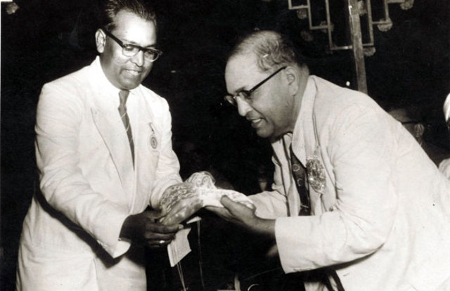 The Best Constitution