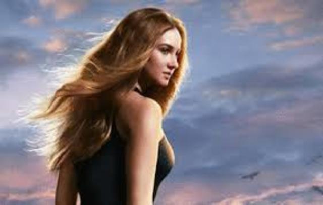 Divergente - Fernanda - assunto do grupo