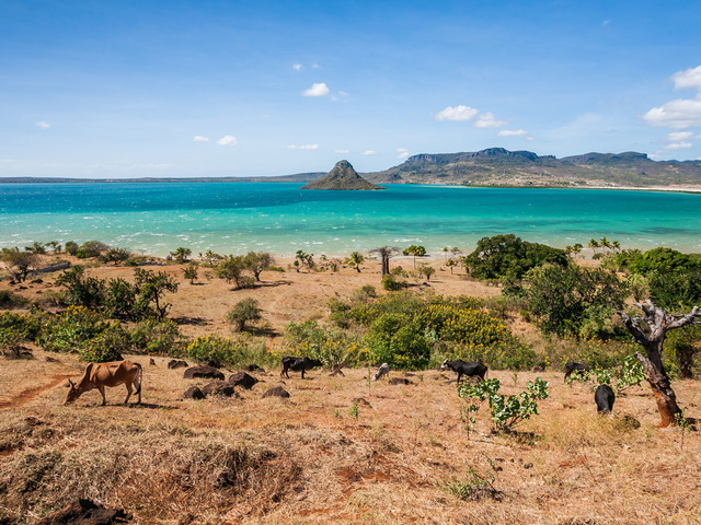 madagascar was found