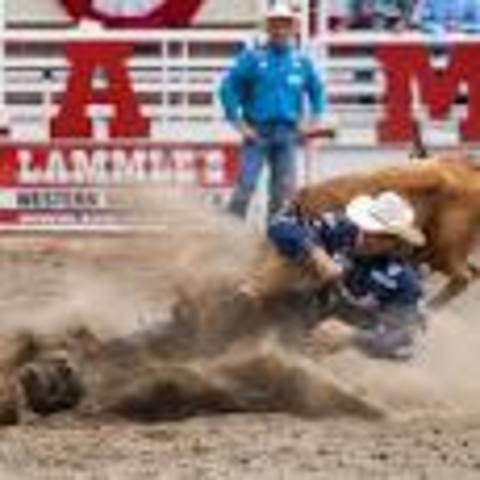 Calary first Stempede