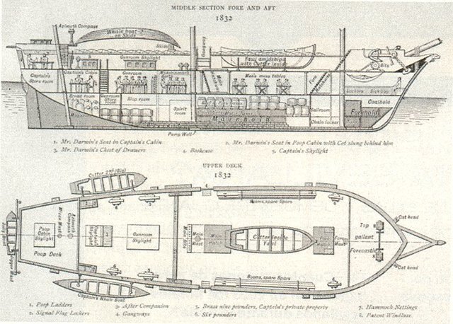 Viaje a bordo del Beagle