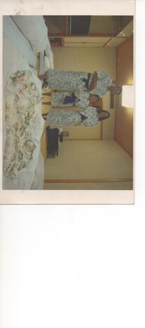 ian-viagem do ian ao japao