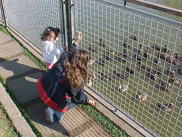 Minha 1ª visita a um parque - Mariana