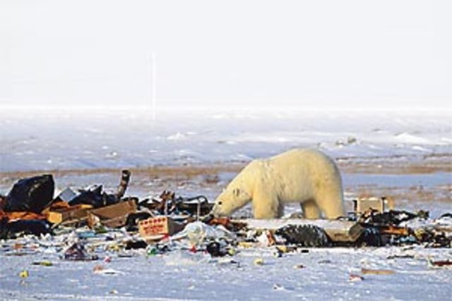 Fatos importates da humanidade - aquecimento global