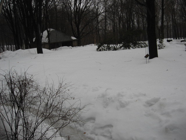 Winter 2008