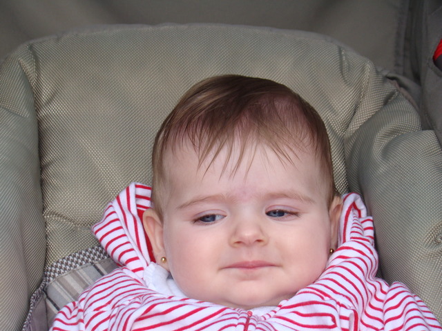 Enzo - nasce mais uma prima