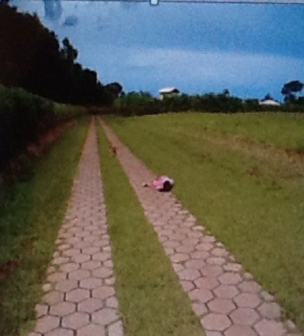 Ana- visitando Goiania