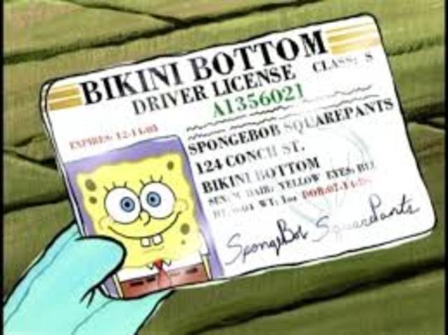 Got Drivers license