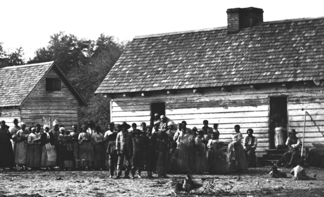 Over 1 Million salves