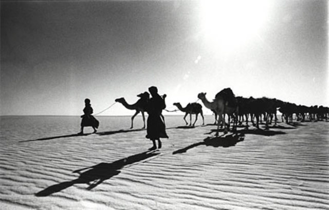 Muhammad flees Mecca