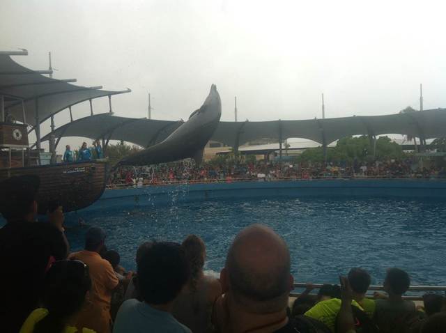 NICOLAS-Viagem para fora