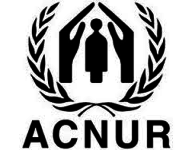 Órgãos para os refugiados