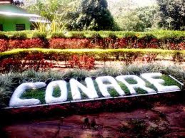 Criação do órgão (CONARE)