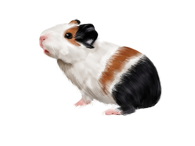 Ganhei um bichino - Paulo