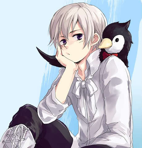 Queda do governo da coalização da Islândia