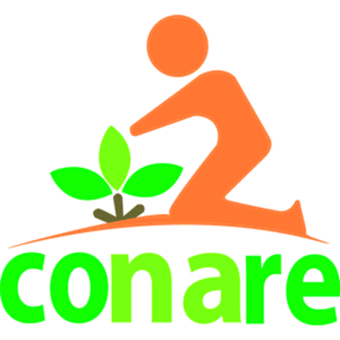 Novo órgão: CONARE