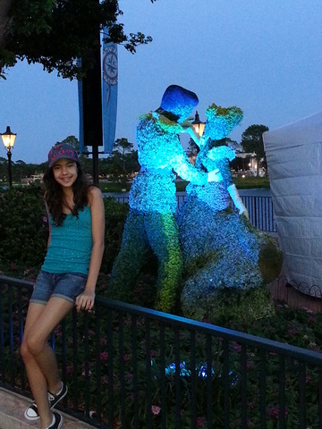 Viagem a Disnay-Mafe