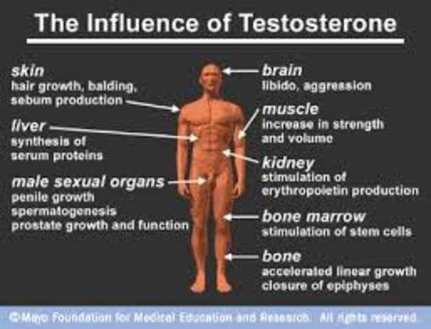 Weightlifting Testosterone Injections
