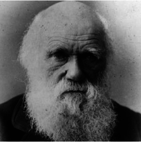 Charles Darwin