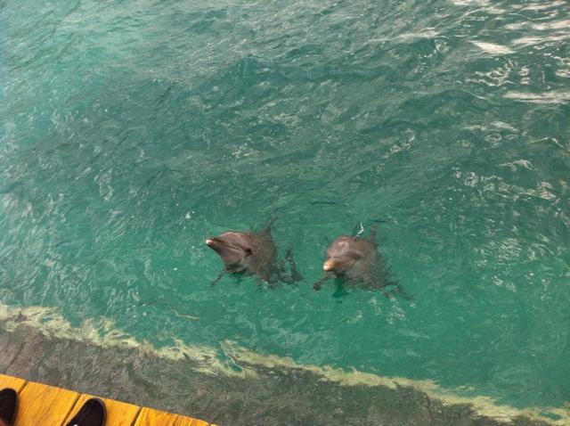 Fui para Cancun - JP