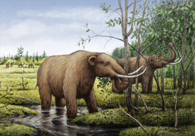 Age of Mammals/Birds