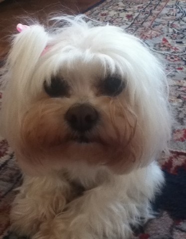 Júlia ganhou a Vivi