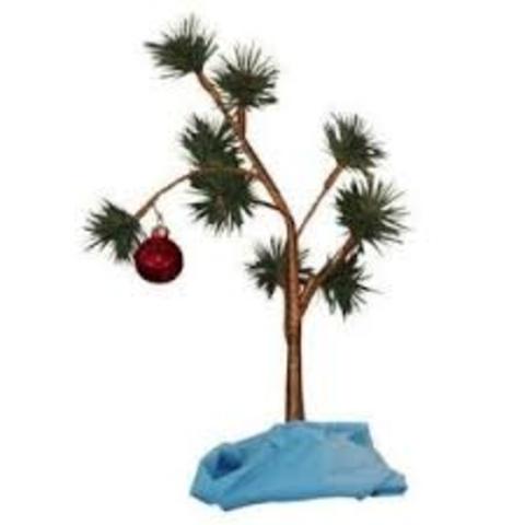 battle of princeton/trenton