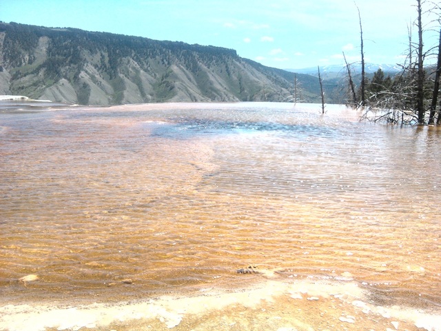 Senate Bill 392 and House Bill 764